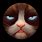 Grumpy Cat Avatar