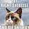 Grumpy Cat Memes Clean and Funny