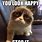 Grumpy Cat Memes for Kids