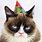 Grumpy Cat Party Hat