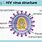 HIV Infection Diagram