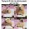 Hamster Meme Original