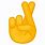 Hands Crossed Emoji