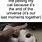 Happy Cat Petting Meme