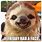Happy Friday Sloth