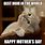 Happy Mother's Day Cat Meme
