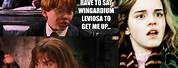 Harry Potter Memes Dirty Funny
