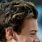 Harry Styles Ears