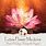 Healing Lotus