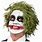 Heath Ledger Joker Wig