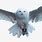 Hedwig Flying