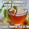 Herbal Tea Memes