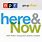 Here and Now NPR