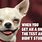 Hilarious Funny Dog Memes