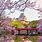 Himeji Castle Spring