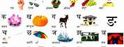 Hindi Words List for Kids