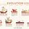 History of Ships Timeline