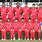 Hong Kong Cricket Team
