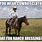 Horse Funny Cowboy Memes