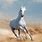 Horse in Desert