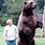 How Tall Is a Grizzly Bear