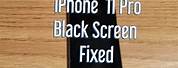 How to Fix a Black Screen iPhone 11