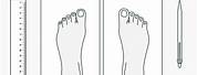 How to Measure the Foot Size