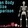 Human Body Size Comparison