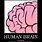 Human Brain Funny