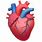 Human Heart Emoji