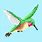 Hummingbird Pixel Art