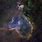 Ic1805 Nebula