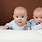 Identical Twin Babies