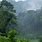 Impenetrable Forest Uganda