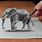 Incredible 3D Drawings