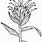 Indian Paintbrush Coloring Page