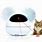 Interactive Laser Cat Toy