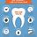 Interesting Dental Facts