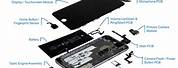 Internal Parts of iPhone 6