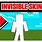 Invisible Minecraft Skin Layout