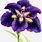 Iris Flower Clip Art Free