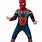 Iron SpiderMan Costume