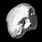 Juno Asteroid