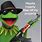 Kermit Frog Funny Memes