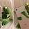 Kermit Hugging Phone Meme