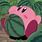Kirby Watermelon Meme