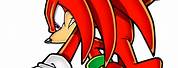Knuckles the Echidna Drawing Poses
