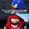 Knuckles the Echidna Funny