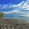 Lake Erie Beach