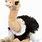 Large Ostrich Plush Toy